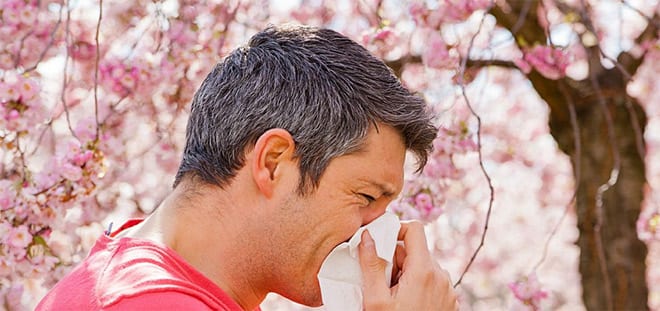 Riniitis Alergica