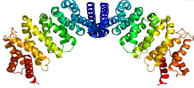 Proteina xpo1