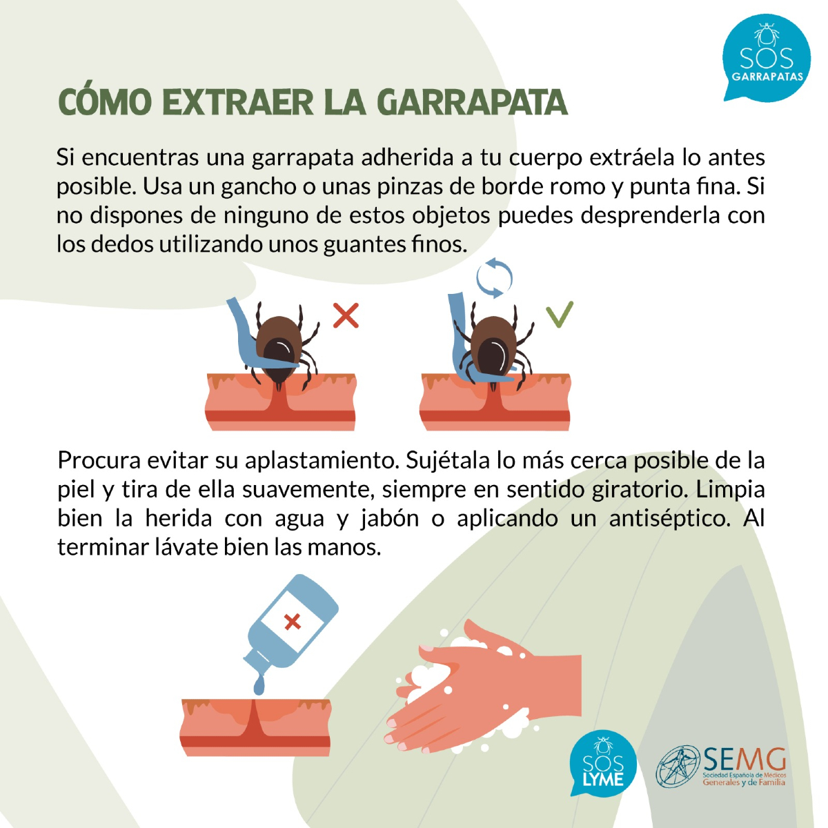 Extracción de la garrapata