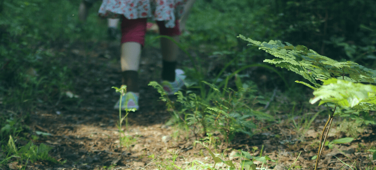 Criança a caminhar na floresta