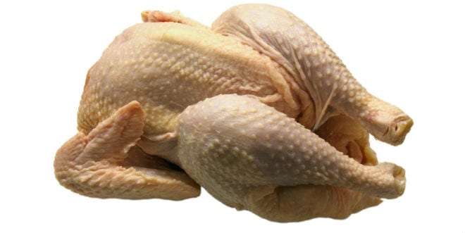 Medicina Biologica Biosalud El consumo de pollo en la adolescencia previene el cancer de colon 14