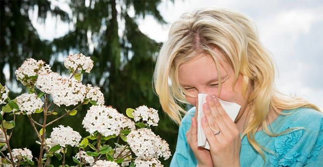 Tratamientos Naturales De Las Alergias