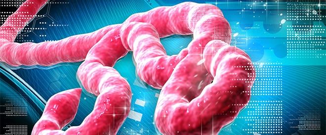 Medicina Biologica Biosalud ebola virus 6