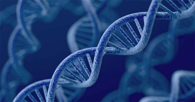 Los Test Genéticos Y De Obesidad: Pasos Hacia La Nutrigenómica