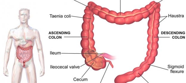 Hiidroterapia colon