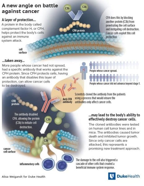 Defensa Contra El Cáncer Derivada De Las Células B Humanas