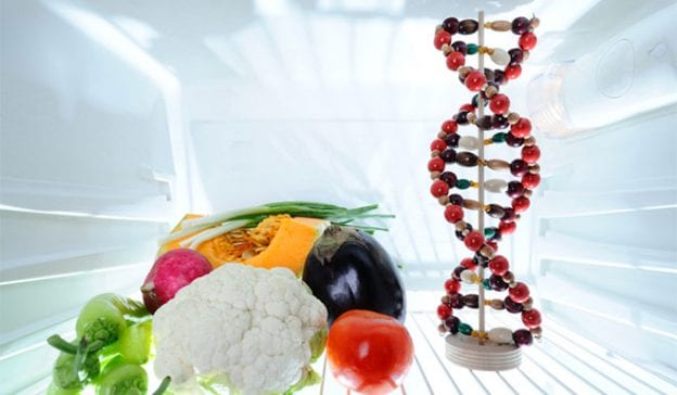 ¿Cómo Responden Los Genes A Nuestra Alimentación?
