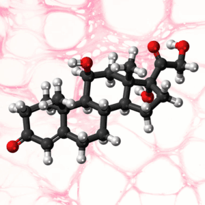 Cortisol y Melatonina en Saliva (Ritmo circadiano y estrés)