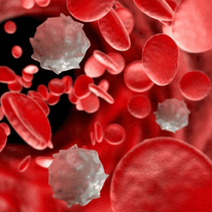 INMUNOCHECK (Estudio Integral del Sistema Inmunológico)