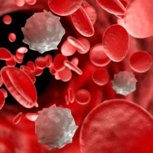 INMUNOCHECK (Estudio Integral del Sistema Inmunológico)