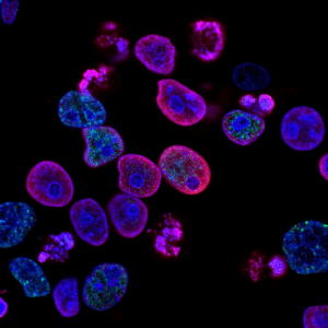 PreventGEN VIP (Prevención Enfermedades Hereditarias)