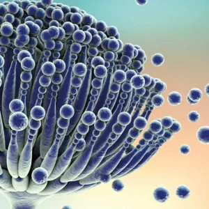 Análisis de micotoxinas MycotoxinCHECK (toxicidad por hongos)