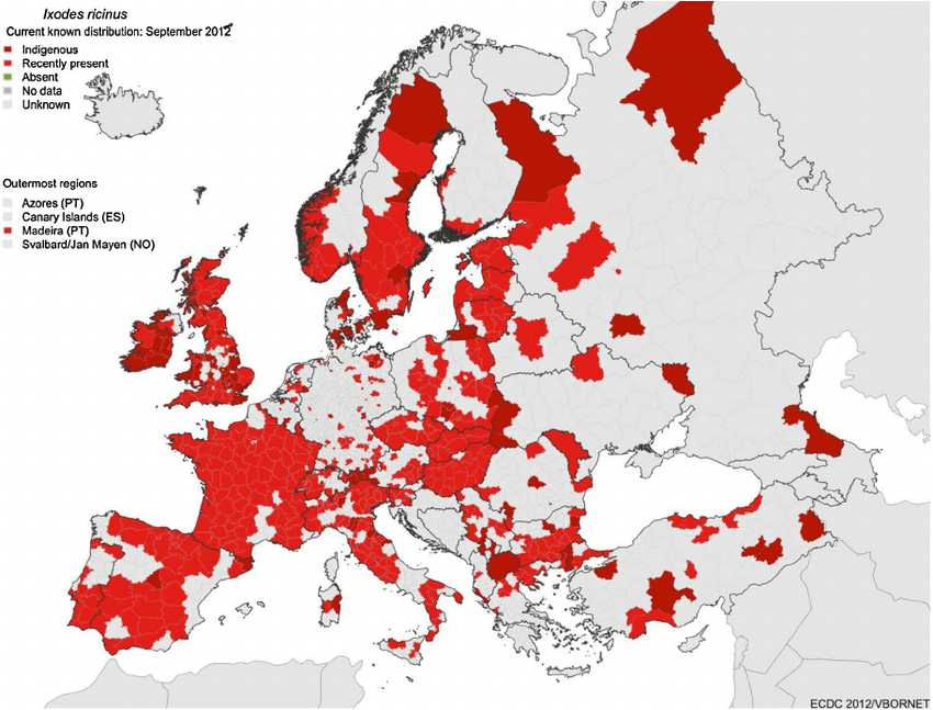 ixodes ricinus na Europa