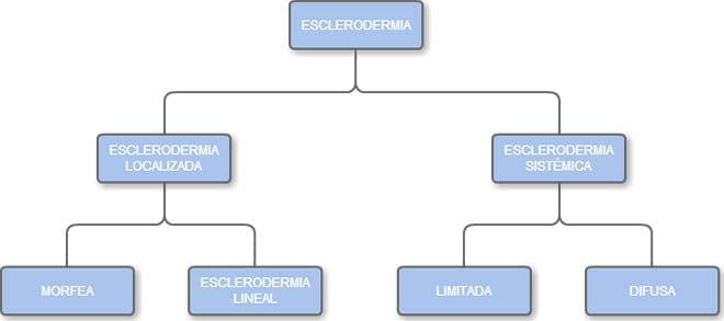 Esclerodermia, enfermedad autoinmune con varios tipos