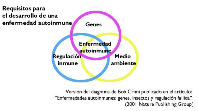 Requisitos para el desarrollo de enfermedades autoinmunes